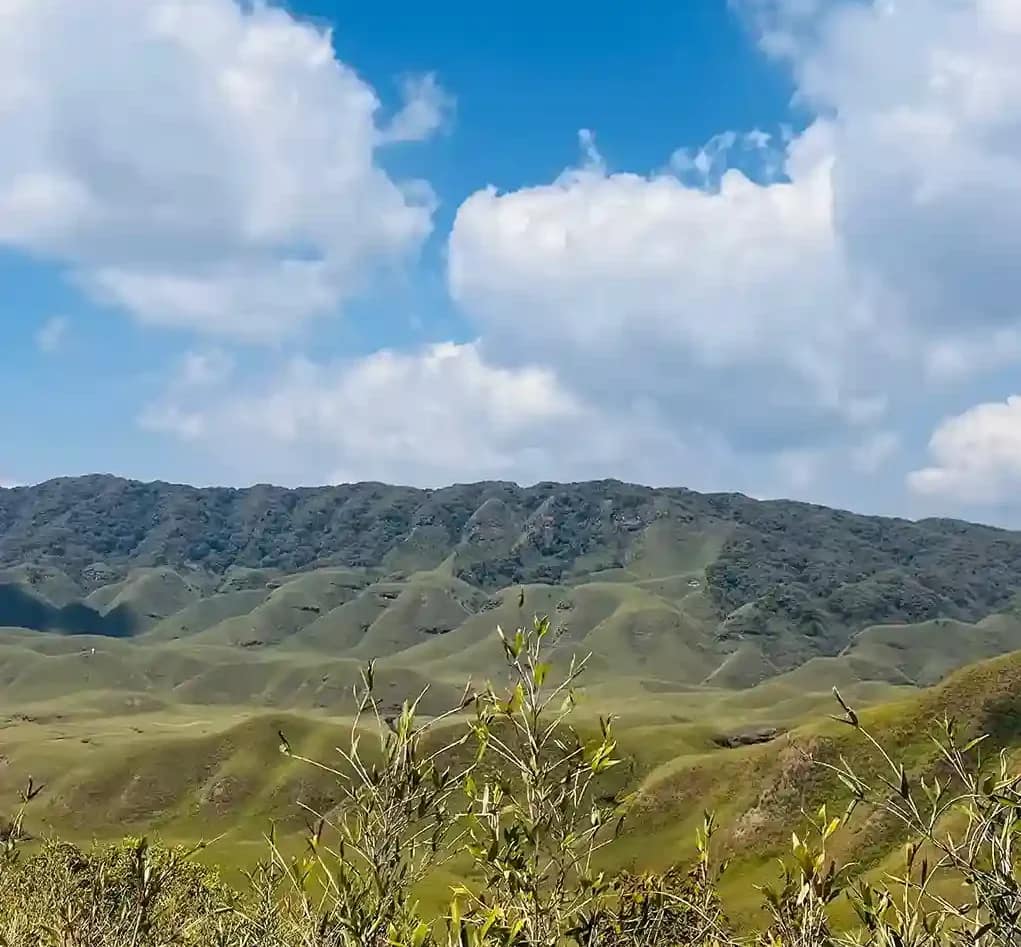 Dzukou Valley