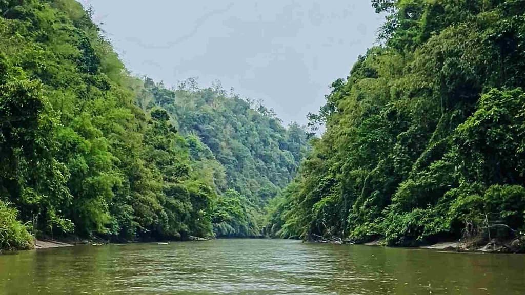 Amazon of Tripura