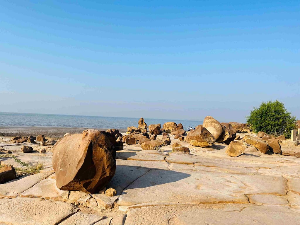 Dholavira Wood Fossil Park