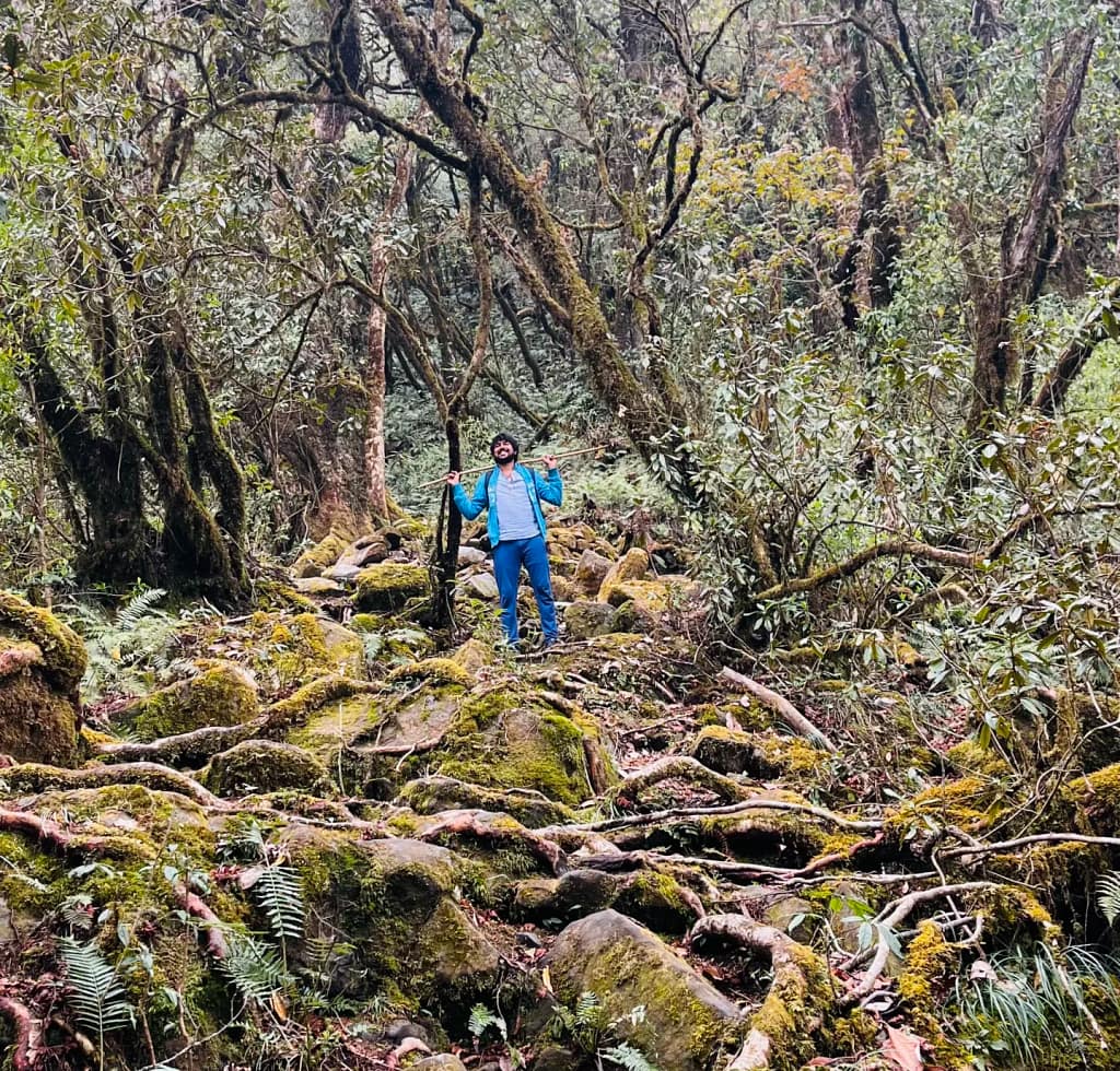 Rhodendron Forest, Japfu Trek