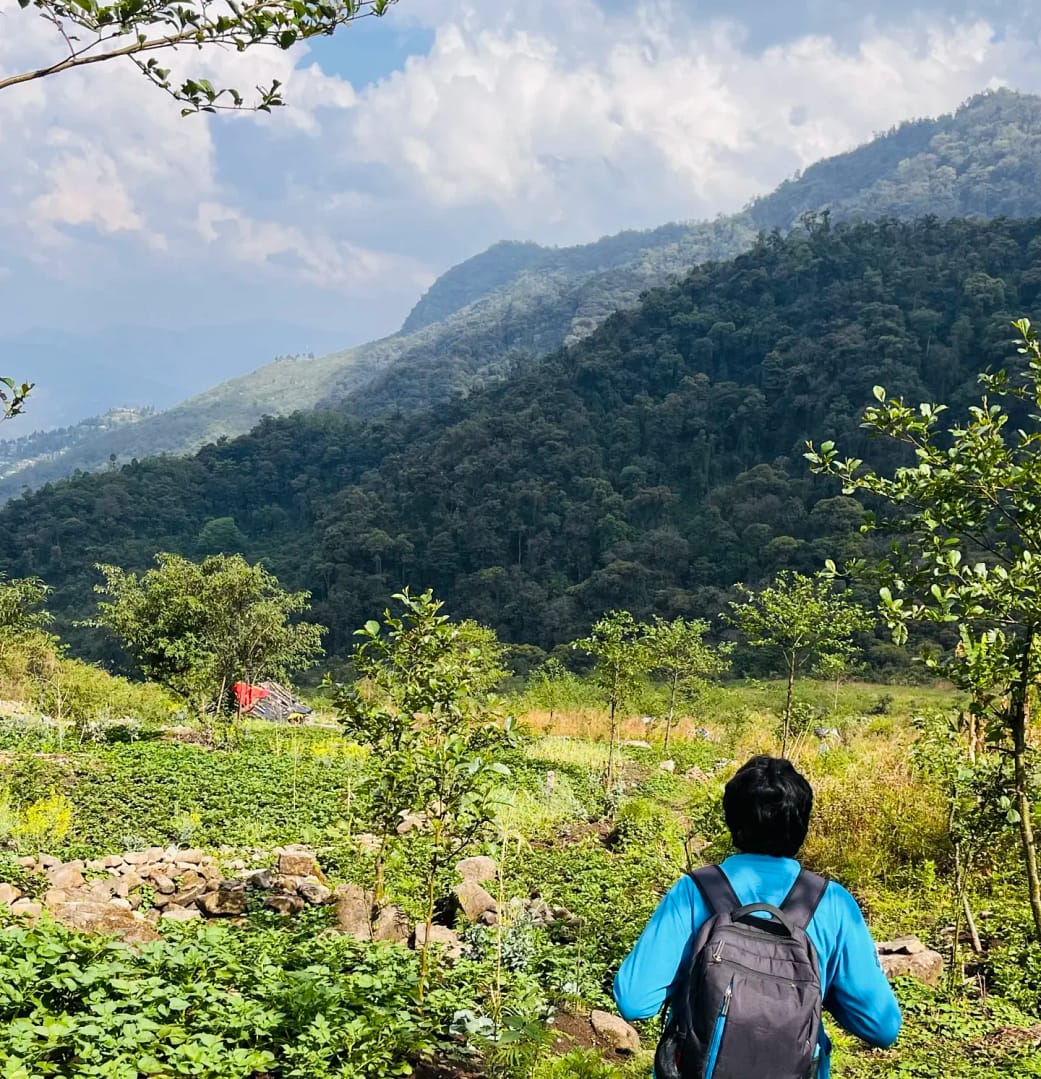 Mount Japfu Farmlands