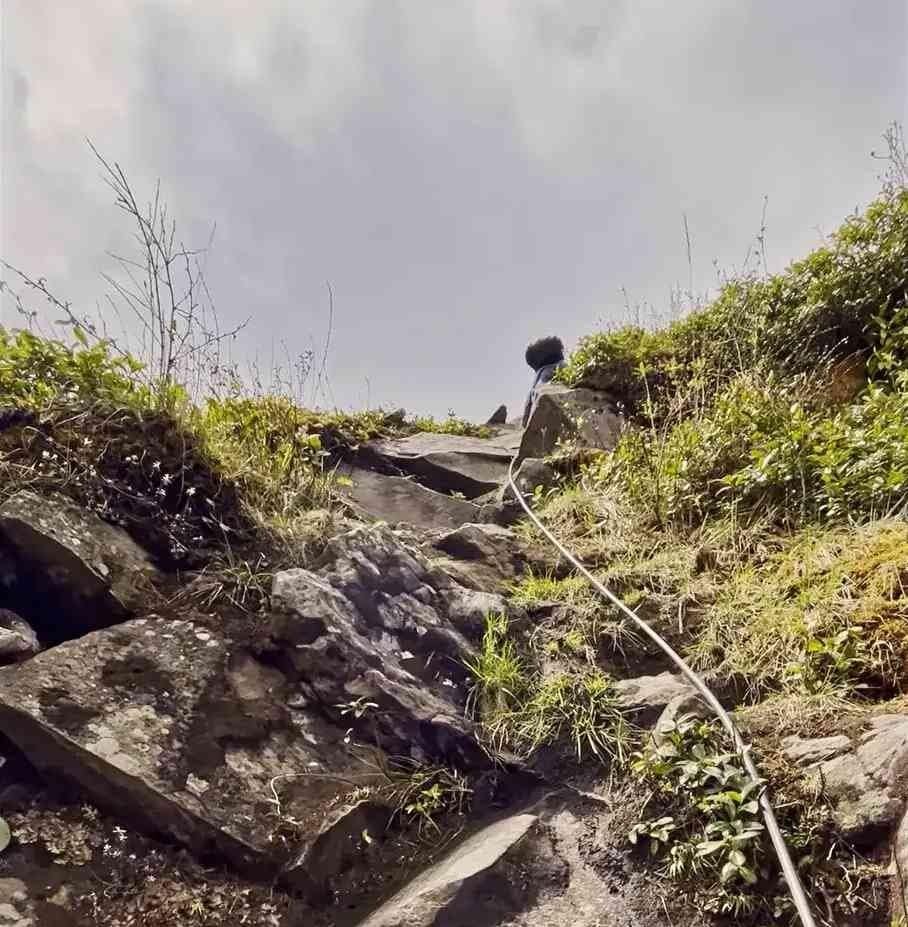 The Last Climb